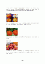 사과의 특징과 효능 및 영양성분 (식품학) 8페이지
