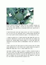 브로콜리의 특징과 효능 및 영양성분 (식품학) 2페이지