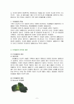 브로콜리의 특징과 효능 및 영양성분 (식품학) 4페이지