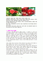 석류의 특징과 효능 및 영양성분 (식품학) 2페이지