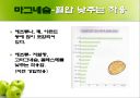 고혈압 예방과 식이요법 ppt자료(식사요법) 18페이지