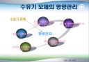 모유수유의 중요성과 영양관리 ppt자료 8페이지