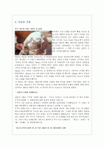 교육사회학 (인류의 발달) 3페이지