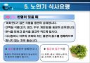 노인기 영양관리 ppt자료 (노인기 식이-운동요법) 11페이지