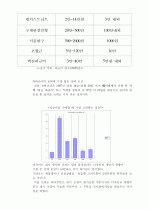 사업 계획 및 시장 분석 4페이지