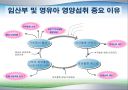 임신기 영양관리 ppt자료 (임산부 영양관리) 19페이지