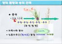 북방민족의 대두와 중국의 정치적 변천 13페이지