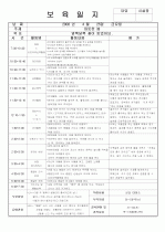 [보육실습/보육일지] 보육실습일지/보육일지(영유아 보육일지) 39페이지