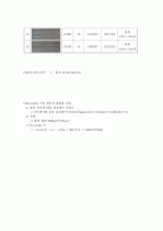 레이놀즈 실험 5페이지