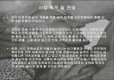 Silver & Joy 4페이지