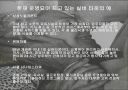Silver & Joy 7페이지