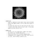 [바이러스] 신종플루 완벽정리 (정의, 원인, 증상, 예방법, 치료법) 2페이지