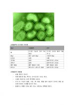 [바이러스] 신종플루 완벽정리 (정의, 원인, 증상, 예방법, 치료법) 3페이지
