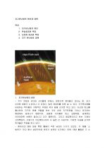 [지구온난화] 오존층 파괴의 원인과 대책 (오존층 완벽정리) 1페이지