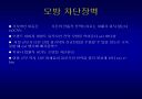 블루오션전략 ppt 발표자료 20페이지