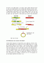 유전자클로닝(gene cloning)에 대해 4페이지