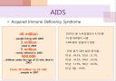 에이즈와 HIV(AIDS by HIV) 2페이지