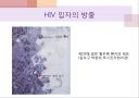 에이즈와 HIV(AIDS by HIV) 5페이지