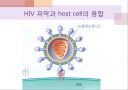 에이즈와 HIV(AIDS by HIV) 7페이지