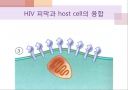에이즈와 HIV(AIDS by HIV) 9페이지