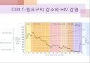 에이즈와 HIV(AIDS by HIV) 15페이지