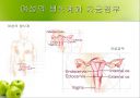 HPV와 자궁경부암 5페이지