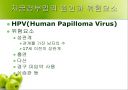HPV와 자궁경부암 9페이지