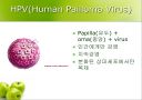 HPV와 자궁경부암 10페이지