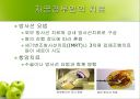 HPV와 자궁경부암 18페이지