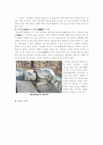 창덕궁(昌德宮) 비원(秘苑)의 조경(造景) 요소 및 특성 10페이지