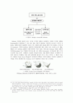 Louis I. Kahn의 디자인 개념과 형태 요소에 따른 평면구성에 관한 연구 13페이지
