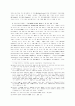 중국의 역사 및 건축구조-수당(隋唐)시대 9페이지