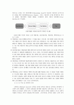 디자인 과정을 통한 패러다임과 디자인 언어와의 전이(은유/유추) 24페이지