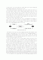 디자인 프로세스의 체계화 및 스키마(Schema) 12페이지