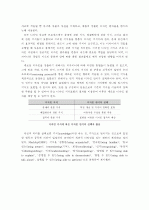 디자인 프로세스의 체계화 및 스키마(Schema) 17페이지