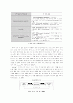 디자인 프로세스의 체계화 및 스키마(Schema) 18페이지