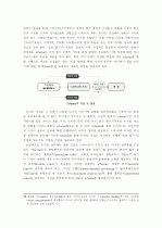 디자인 프로세스의 체계화 및 스키마(Schema) 22페이지