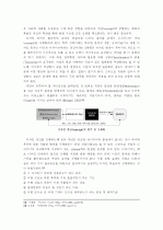 디자인 프로세스의 체계화 및 스키마(Schema) 27페이지