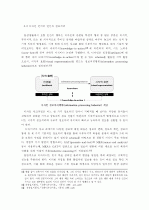 디자인 프로세스의 체계화 및 스키마(Schema) 29페이지