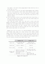 디자인 프로세스의 체계화 및 스키마(Schema) 33페이지