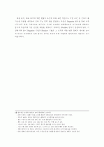 디자인 프로세스의 체계화 및 스키마(Schema) 34페이지