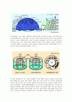 대기대순환의 형성 및 구조 2페이지