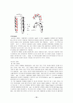 댄스스포츠란 10페이지