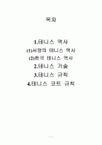 테니스 레포트 1페이지