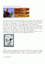 스노우보드 완벽정리 (역사, 보드종류, 장비, 기술, 원리, 자세) 2페이지