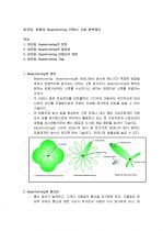 빔포밍, 빔형성 Beamforming 안테나 기술 완벽정리 1페이지