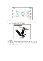 MIMO (Multiple Input Multiple Output) 기술 (WIMAX. Wibro) 완벽정리 4페이지