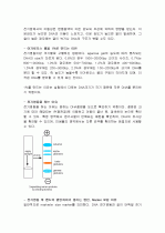 전기영동 (electrophoresis) 실험보고서 2페이지
