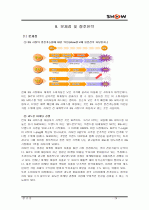 이동통신사 ktf show 광고분석자료 24페이지
