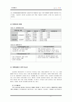 싱글제품 판매에 관한 사업계획서  11페이지